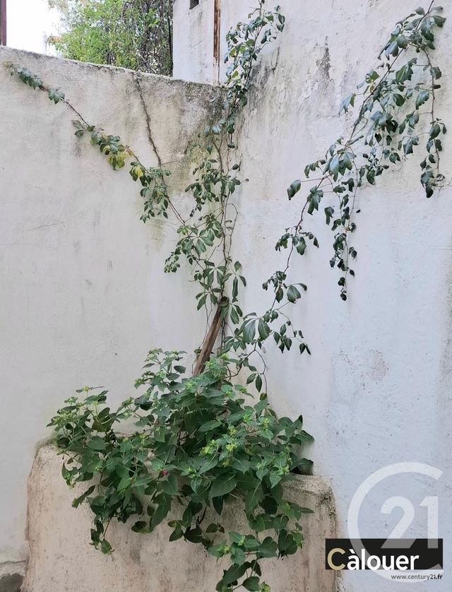 Appartement F2 à louer - 2 pièces - 40.0 m2 - AVIGNON - 84 - PROVENCE-ALPES-COTE-D-AZUR - Century 21 Cité Des Papes